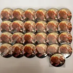 プロセカ 東雲彰人 あんスタ コラボ グリ缶 缶バッジ25個セット