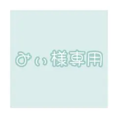 みぃ様専用