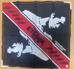 矢沢永吉横顔シルエット/SPIRIT OF EIKICHI YZAWAキーホルダ Amazon.co.jp: 矢沢永吉（EIKICHI YAZAWA）2022 THANK YOU ROCK