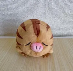 ポケモン　ぬいぐるみ Pokémon fit ウリムー