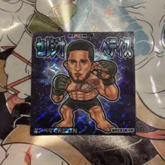 RIZIN47 セルジオペティス オリジナルシール ステッカー ②