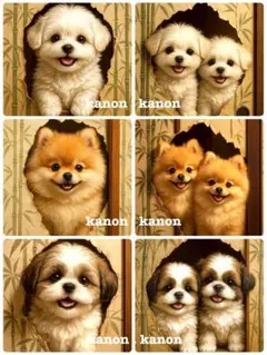 P429 パネル生地　マルチーズ　シーズー　18×18 6枚1セット