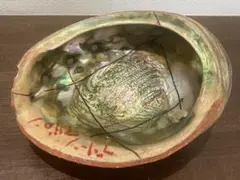 大型グリーンアバロン 貝殻 クラフト アバロンシェル　790g 約21×17cm