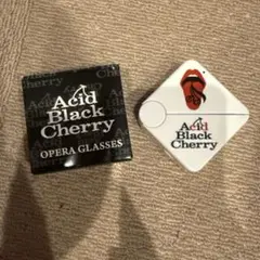 Acid Black Cherry プレート ABC yasu 希少1点物 - メルカリ
