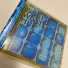 【帯付】ザ・ブルーハーツ/BUST WASTE HIP/ミニフォトブック付‼︎