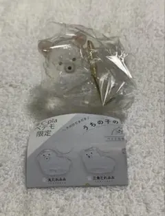 うちの子のけだまだま　犬　チワワ白チワワ１種のみ