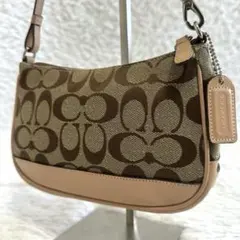 2025年最新】コーチ coach ミニアクセサリーポーチの人気アイテム