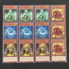 たくま様 リクエスト 2点 まとめ商品