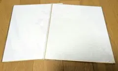 色紙 2枚セット 金縁