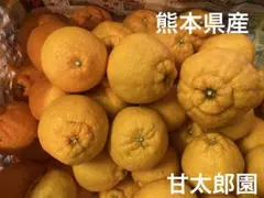 mugimama様。専用です( ◠‿◠ )