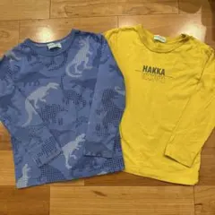ハッカキッズ　長袖カットソー　110 恐竜柄　ロゴ　2枚セット