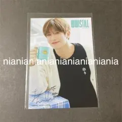 WWISTILL ジンジン 生写真