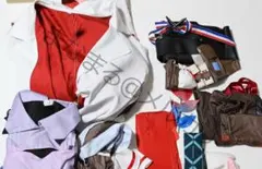 【ウイッグ付】純燼エイヤフィヤトラ　コスプレ　アークナイツのサムネイル