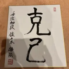 南沙良 1st Photo Book 不安定な安息 直筆サイン本 フォトブック