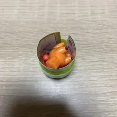 ポケットモンスター　旅立ちの3匹　チョコエッグ　ポカブ　新品未使用品