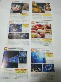 4枚 沼津港深海水族館　沼津深海水族館　割引券　クーポン　静岡県　沼津市のサムネイル