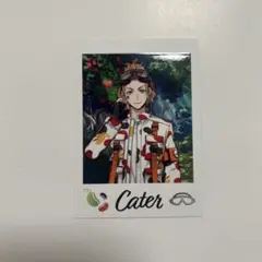 ツイステ ケイト まとめ売り ツイステ ケイト カードまとめ売り - メルカリ
