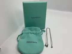 ②Tiffany & Co.「スパークラー プラシオライト」シルバーネックレス 