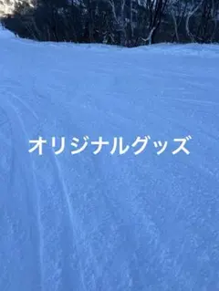 ディズニー　バケパ　フリードリンク券　オリジナルグッズ引換券セット