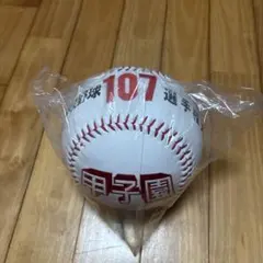 ◉Bc右1014 未使用保管品 第82回 智弁和歌山高校 優勝記念ボール