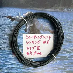 Item thumbnail for item 5f66c194-44f0-4865-8e75-597df59e41c4