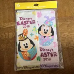 TOKYO Disney RESORT ミニタオル2枚