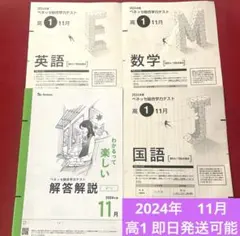 2024年度 11月 高2 進研模試 全教科 問題解答 セット 新品 未使用品 2025年最新】Yahoo!オークション -進研模試 11月 高2(学習、教育
