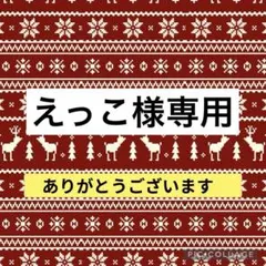 えっこ様専用　トートバッグ　マスコットチャーム　コースター