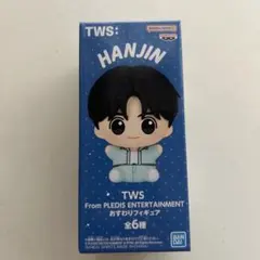 TWS From PLEDIS おすわりフィギュア ハンジン HANJIN - メルカリ