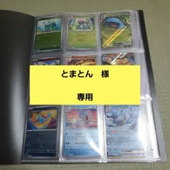 とまとん様　専用　　モンスターボールミラーコンプリート　２セット