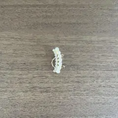 パール　イヤーカフ
