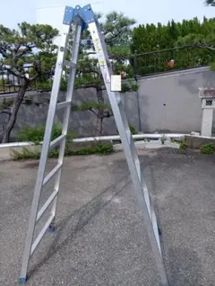 引取限定】GSC-300T 脚立 3m 最大使用荷重100kg 長谷川工業 - メルカリ