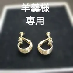pierre cardin ピエールカルダン イヤリング フープ