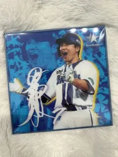 ベイスターズ　ファンフェス　佐野恵太　ファンクラブ限定　アクリルラメサイン入色紙