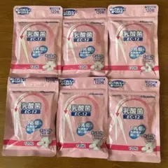 2025年最新】久光製薬 乳酸菌ec-12の人気アイテム - メルカリ