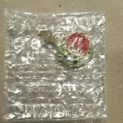 カラフルピーチ　メタルヘアクリップ　じゃぱぱ