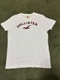 メンズ HOLLISTER ロゴTシャツ ホワイト