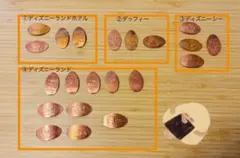 ディズニー スーベニアメダル2014-2015 21枚セット