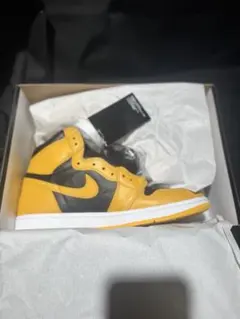 Nike Air Jordan 1 High OG "Pollen"のサムネイル
