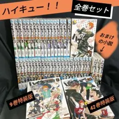 漫画 ハイキュー！！全巻セット特装版＆おまけ付き！！