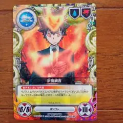 家庭教師ヒットマンREBORN！CCG 沢田綱吉 Vジャンプ - メルカリ