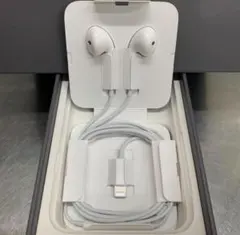 Apple genuine iPhone earphones