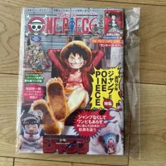 Item thumbnail for item f886ab19-a225-482a-a435-ff4af347dc48