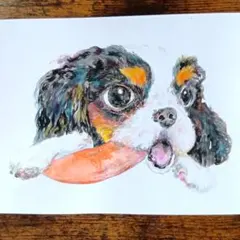 水彩画 原画 犬