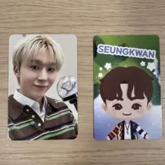 SEVENTEEN CARAT LAND CARAT ZONE スングァン