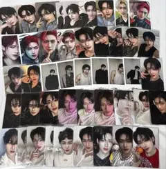 ぽ*ろ様 ゼベワン リッキー トレカ まとめ売り 特典