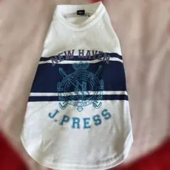 J.PRESS NEW HAVEN 犬用シャツ