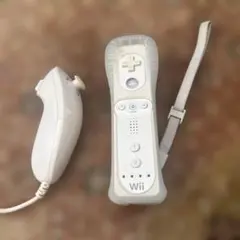 Wiiリモコンとヌンチャクセット