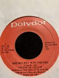 And So I Will Wait For You／F.Mcgregor