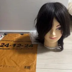 カットウィッグユーカリジャパン レイヤーカットモデルウィッグ 24-12